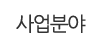사업분야